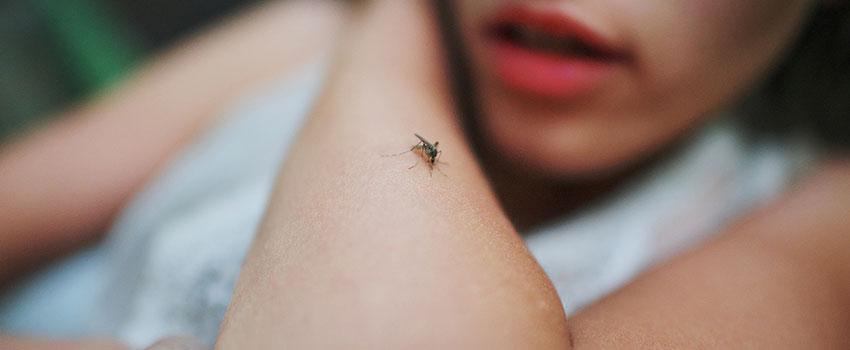 A girl with a mosquito in her arms