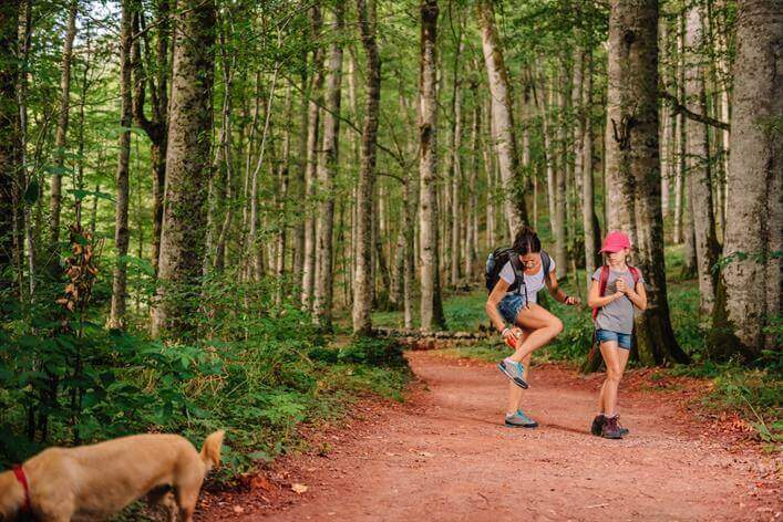 Two girls stand on a forest trail. One girl is adjusting her shoe while the other examines something in her hand, as if it were a map to the nearest urgent care. A dog is in the foreground on the left side.