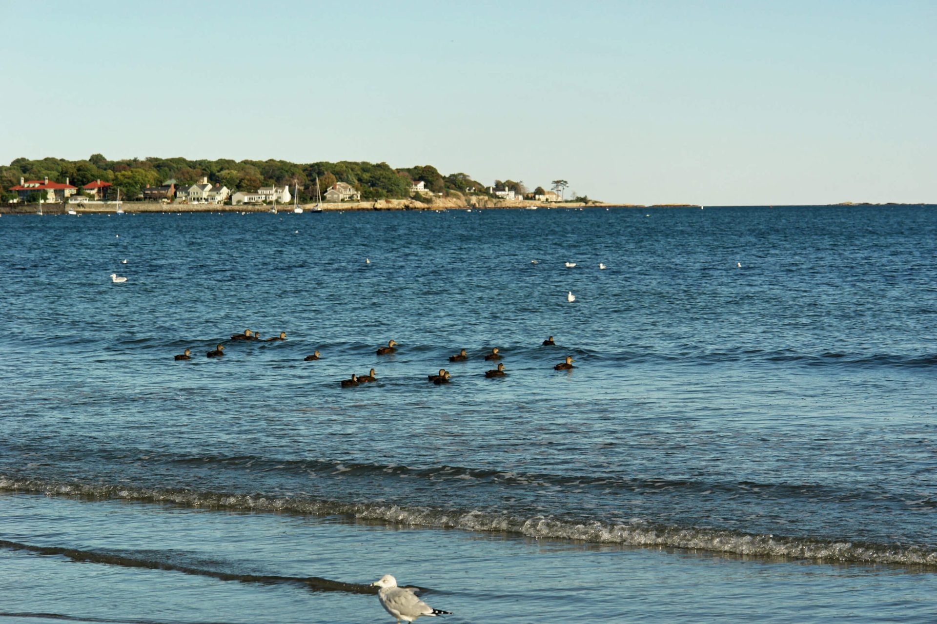 Visit our urgent care center in Swampscott, MA.