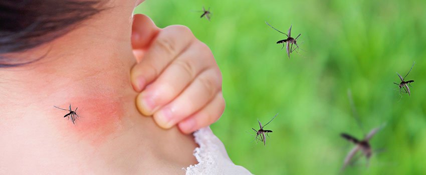 How Can I Help Protect My Kids From Mosquito Bites?