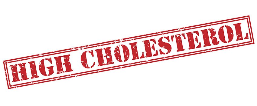 What Causes High Cholesterol?