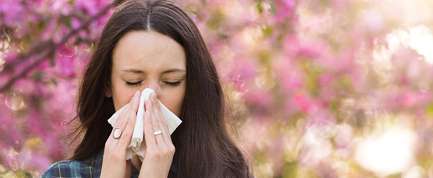 What Causes Spring Allergies?