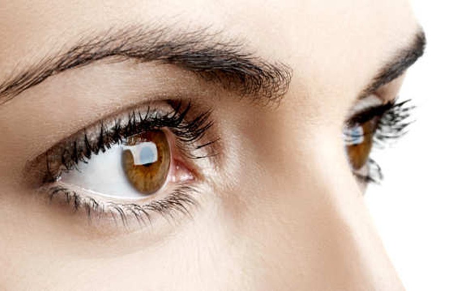 The Eyes Have It—Focusing on Eye Health | Ooltewah, TN Walk-In Clinic