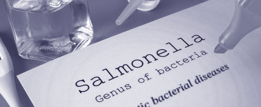 Is a Salmonella Infection Dangerous?