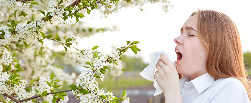 How Can I Make My Allergies Go Away?