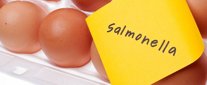 Is a Salmonella Infection Dangerous?
