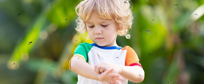 What Are Some Options for Natural Mosquito Repellent for Children?