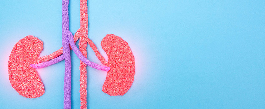 How Are Kidney Infections Diagnosed?- AFC Urgent Care