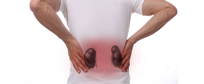 What Do I Need to Know About Kidney Infections?