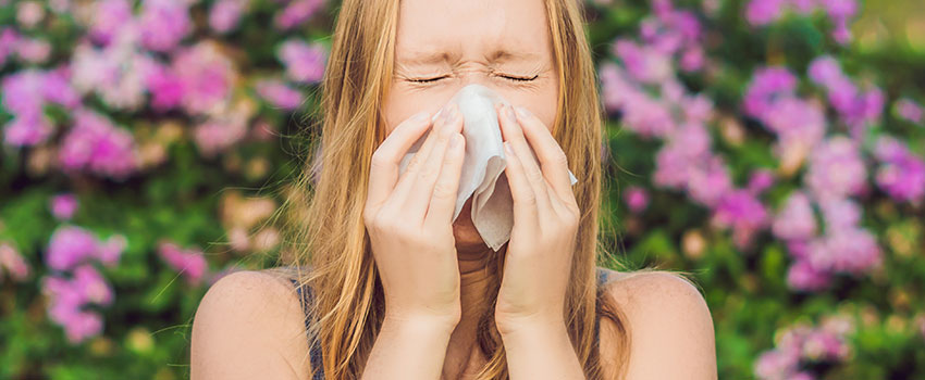 Can Seasonal Allergies Be Cured?- AFC Urgent Care