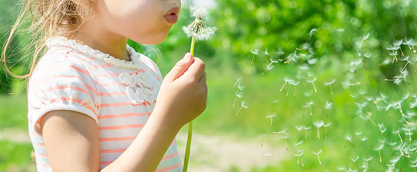 What Should I Know About Seasonal Allergies?- AFC Urgent Care