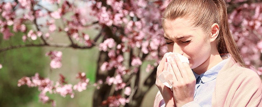 Why Do I Deal With Allergies in the Spring?- AFC Urgent Care
