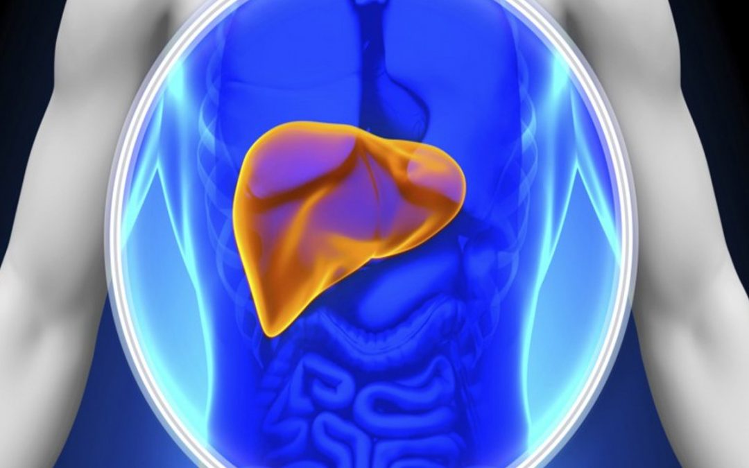 Keeping Your Liver Healthy- AFC Urgent Care