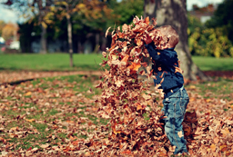 Summer might be fun, and spring is lovely, but the best season has got to be fall. The changing leaves, the brisk winds and the warm fires bring everyone closer, and the leisure activities can’t be beat. Over a third of Americans list fall as their favorite season, blowing all of the other seasons out of the