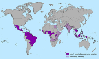 Mosquitoes have always been a source of annoyance. Usually we only need to worry about them in the summer, but the Zika virus outbreak is causing people to sweat throughout the world. So, what exactly is Zika? We’re here to help you learn everything you need to know about Zika virus.Zika virus disease is caused
