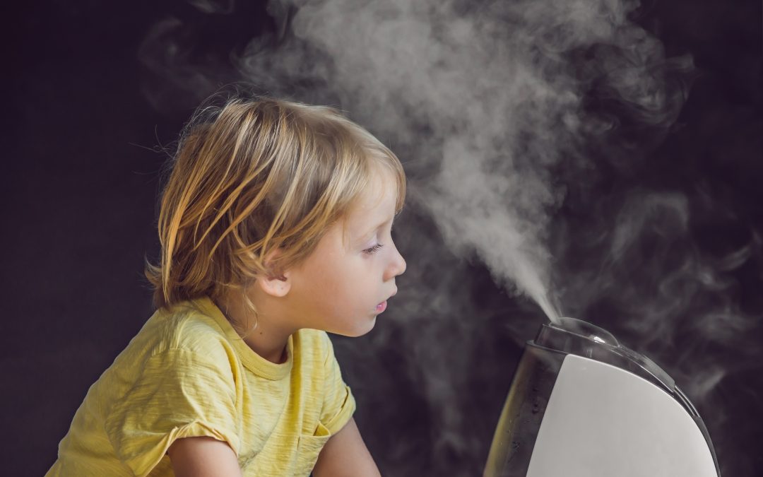 Can using a humidifier prevent the flu?
