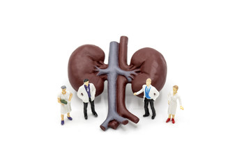 Keeping Your Kidneys Healthy: A Guide for National Kidney Awareness Month