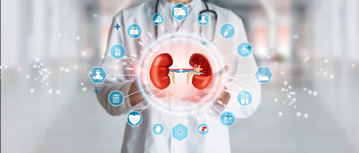 Top 5 Essential Facts About Your Kidneys: Kidney Awareness Month