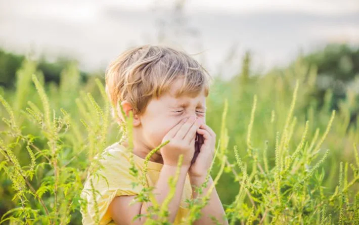 Spring Allergy Relief at AFC Clifton | Recognizing Symptoms & Tips