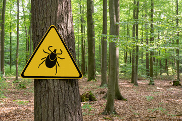 I've Been Bitten by a Deer Tick: What's My Risk of Lyme Disease?
