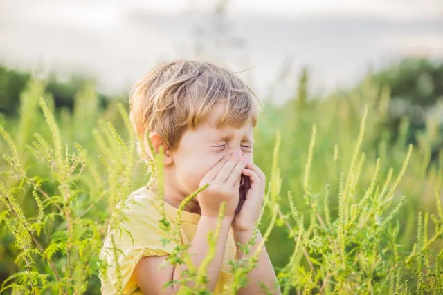 Effective Spring Allergy Relief at AFC Toms River | Symptoms & Prevention