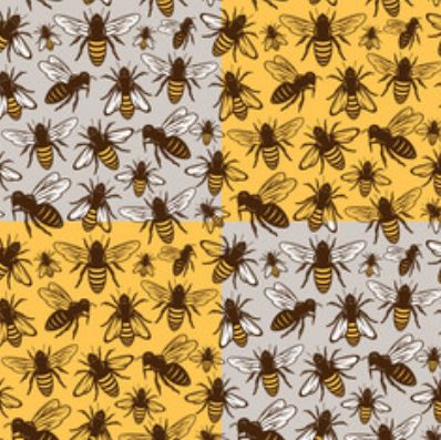 Different types of bees